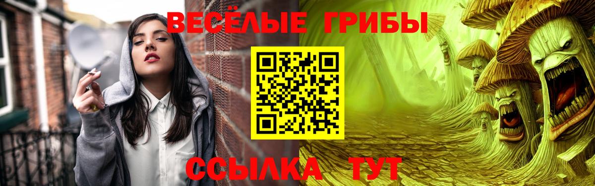 Галлюциногенные грибы Cubensis  купить закладку  Майский  Псилоцибиновые грибы MAGIC MUSHROOMS  Вход с VPN 
